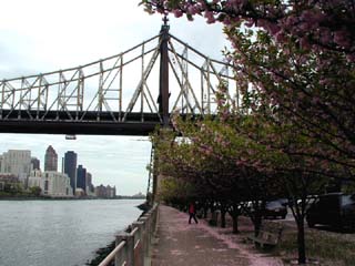 Queensborough Bridge (59th Street Bridge)