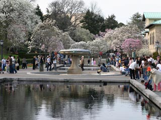 Jenkins Fountain, Lily Pond Terrace, Brooklyn Botanic Garden