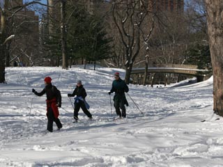 Cross-country skiing in Central Park