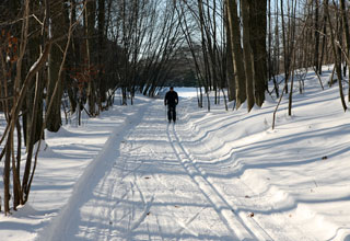 Cross-country skiing in Fahnestock Winter Park