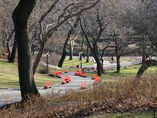 Christo: The Gates, Central Park, New York