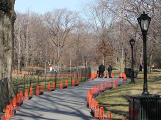 Christo: The Gates, Central Park, New York