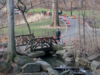 Christo: The Gates, Central Park, New York