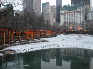 Christo: The Gates, Central Park, New York