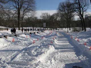 Christo: The Gates, Central Park, New York