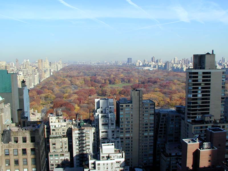 central park west view. the Central Park West