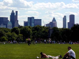 The Great Lawn in June