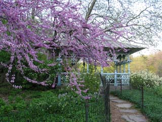 The Ladies Pavilion