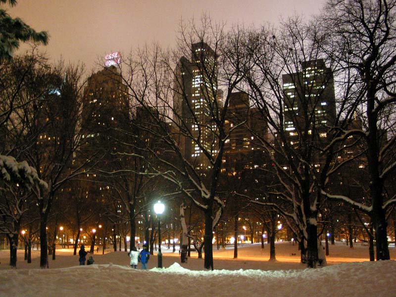 central_park_night_snow_5dec02.jpg