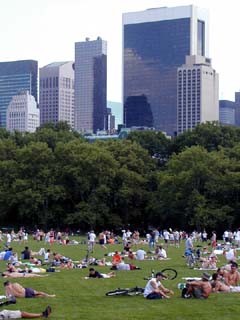 Sheep Meadow