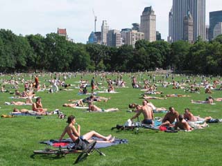 Sheep Meadow