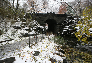 Glen Span Arch