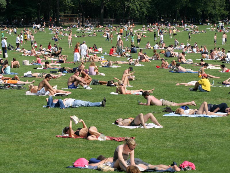 sunbathers in central park ny. New Yorkers sunbathing in