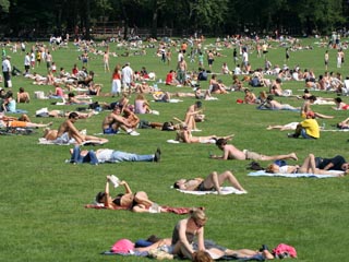 Sheep Meadow Central Park