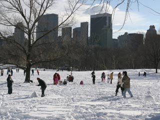 Sheep Meadow