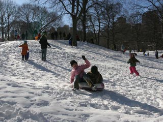 Snow in Central Park