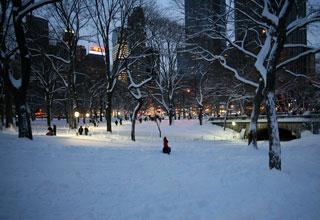 Snow in Central Park