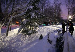 Snow in Central Park